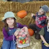 Country Apple Orchard photo