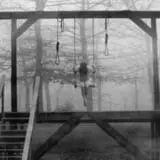 Haunted Hollow photo