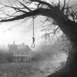 Haunted Hollow photo