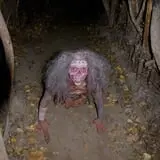 Haunted Hollow photo
