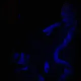 Haunted Nightmares photo