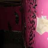 Haunted Nightmares photo