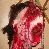 Haunted Nightmares photo