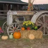 Fischer Farms Pumpkin Patch & Corn Maze photo
