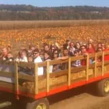 Fischer Farms Pumpkin Patch & Corn Maze photo