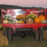 Fischer Farms Pumpkin Patch & Corn Maze photo