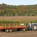 Fischer Farms Pumpkin Patch & Corn Maze photo