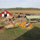 Fischer Farms Pumpkin Patch & Corn Maze photo