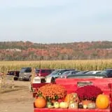 Fischer Farms Pumpkin Patch & Corn Maze photo