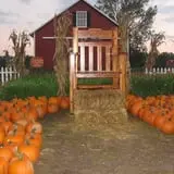 Fischer Farms Pumpkin Patch & Corn Maze photo