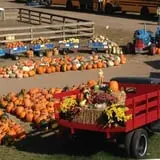Fischer Farms Pumpkin Patch & Corn Maze photo