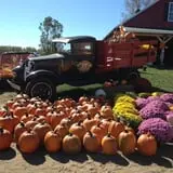 Fischer Farms Pumpkin Patch & Corn Maze photo