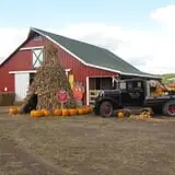 Fischer Farms Pumpkin Patch & Corn Maze photo