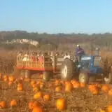 Fischer Farms Pumpkin Patch & Corn Maze photo