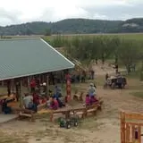 Fischer Farms Pumpkin Patch & Corn Maze photo