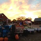 Fischer Farms Pumpkin Patch & Corn Maze photo