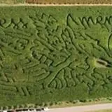 Fischer Farms Pumpkin Patch & Corn Maze photo