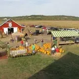 Fischer Farms Pumpkin Patch & Corn Maze photo