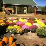 Fischer Farms Pumpkin Patch & Corn Maze photo
