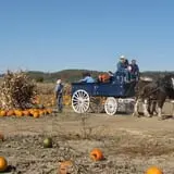 Fischer Farms Pumpkin Patch & Corn Maze photo