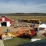 Fischer Farms Pumpkin Patch & Corn Maze photo