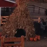 Fischer Farms Pumpkin Patch & Corn Maze photo
