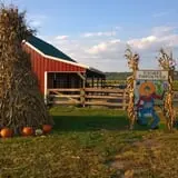 Fischer Farms Pumpkin Patch & Corn Maze photo