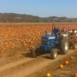 Fischer Farms Pumpkin Patch & Corn Maze photo