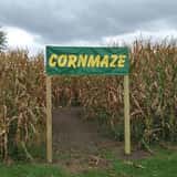 The Pumpkin Factory Corn Maze & Pumpkin Patch
