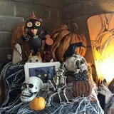 Little Haunts photo