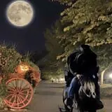 Little Haunts photo