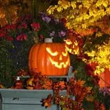 Little Haunts photo