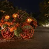 Little Haunts photo