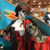 Little Haunts photo