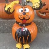 Mink and Walters Pumpkin Patch photo