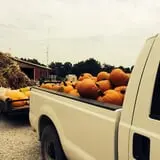 Mink and Walters Pumpkin Patch photo
