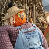 Mink and Walters Pumpkin Patch photo