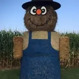 Mink and Walters Pumpkin Patch photo