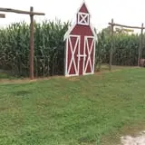 Mink and Walters Pumpkin Patch photo