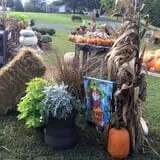 Mink and Walters Pumpkin Patch photo
