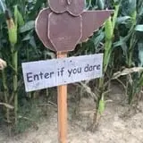 Mink and Walters Pumpkin Patch photo