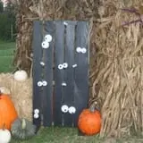 Mink and Walters Pumpkin Patch photo