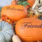 Mink and Walters Pumpkin Patch photo