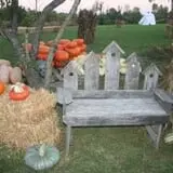 Mink and Walters Pumpkin Patch photo