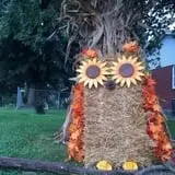 Mink and Walters Pumpkin Patch photo