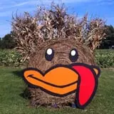Mink and Walters Pumpkin Patch photo