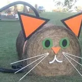 Mink and Walters Pumpkin Patch photo