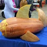 Mink and Walters Pumpkin Patch photo