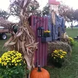 Mink and Walters Pumpkin Patch photo