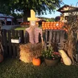 Mink and Walters Pumpkin Patch photo